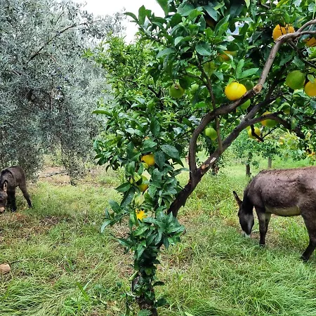 La Fattoria Sul Mare Апартаменты *