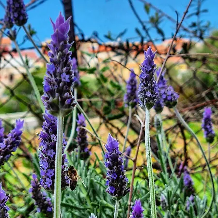 La Fattoria Sul Mare