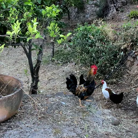 La Fattoria Sul Mare Апартаменты Reitano (Messina)