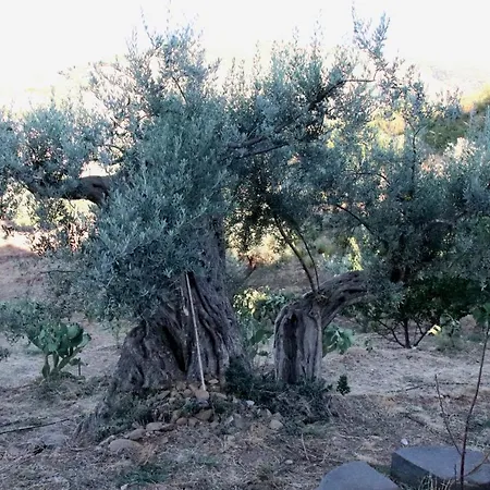 La Fattoria Sul Mare Апартаменты Reitano (Messina)