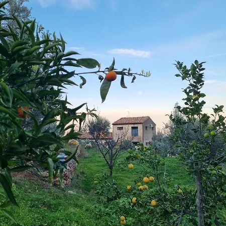 La Fattoria Sul Mare Reitano (Messina)
